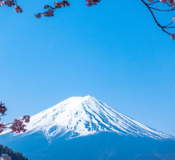 日本高度人才經營管理(lǐ)簽證